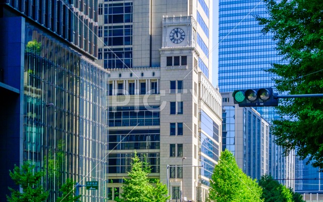 写真のタイトルが入ります