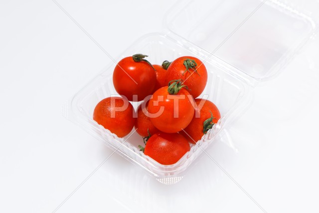 写真のタイトルが入ります