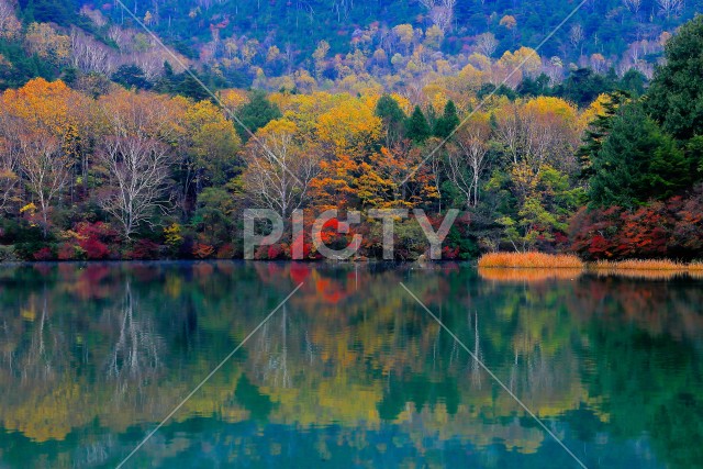 奥日光・湯ノ湖の湖面に映る色鮮やかな紅葉