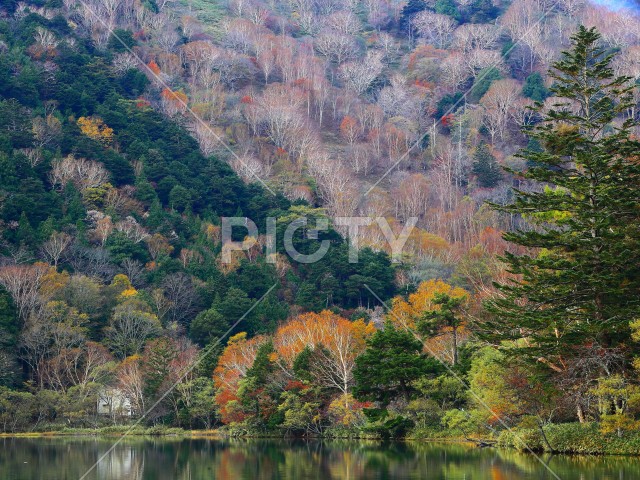 写真のタイトルが入ります