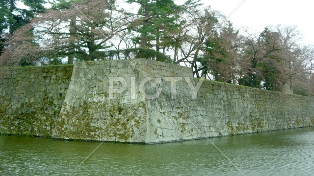 写真のタイトルが入ります