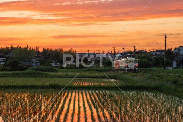 写真のタイトルが入ります