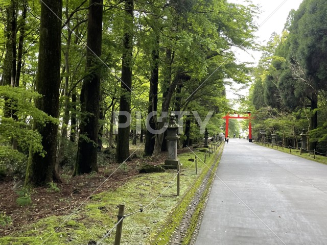 写真のタイトルが入ります