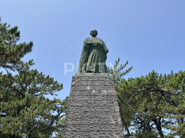 写真のタイトルが入ります