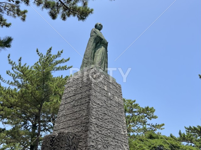 写真のタイトルが入ります