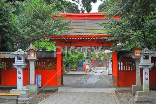 写真のタイトルが入ります