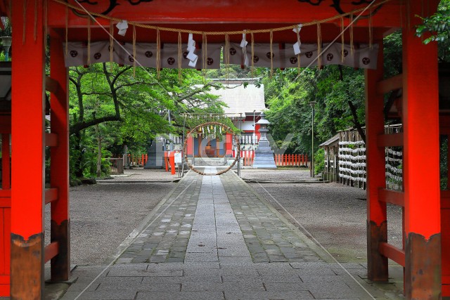 写真のタイトルが入ります