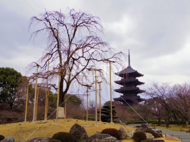 写真のタイトルが入ります