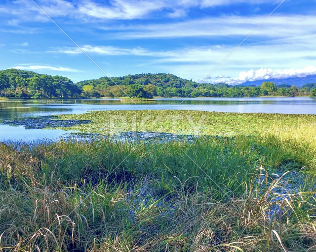 写真のタイトルが入ります
