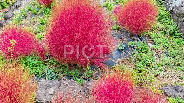 写真のタイトルが入ります