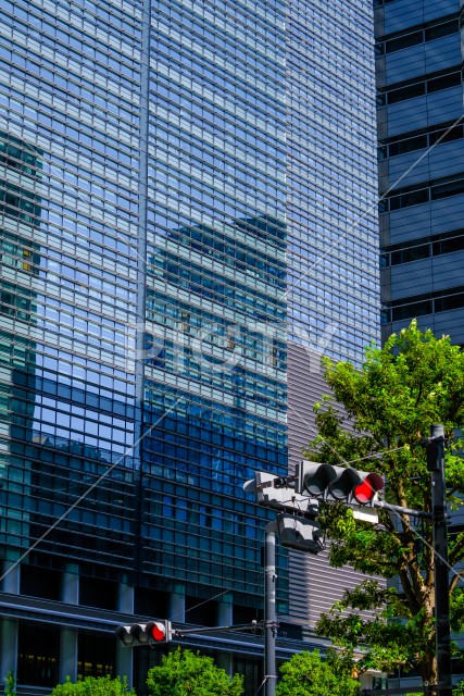 写真のタイトルが入ります