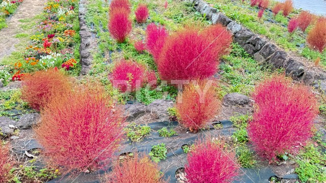 写真のタイトルが入ります