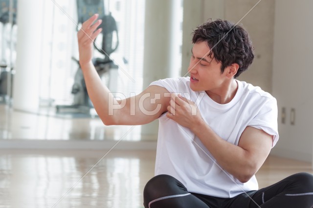 写真のタイトルが入ります