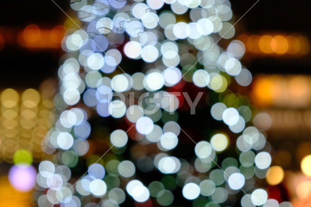 写真のタイトルが入ります