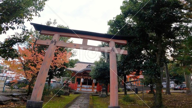 写真のタイトルが入ります