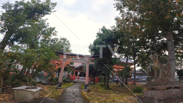 写真のタイトルが入ります