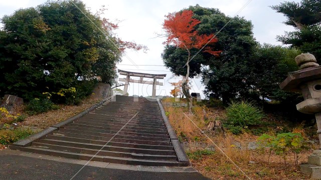 写真のタイトルが入ります
