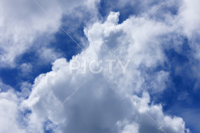 写真のタイトルが入ります