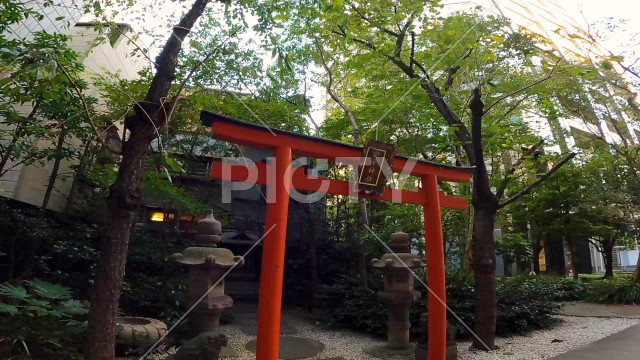 写真のタイトルが入ります