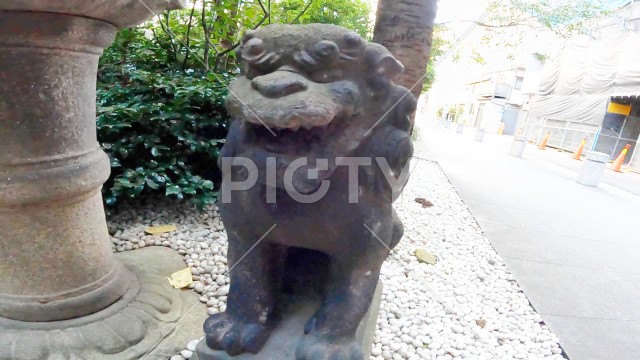神社の狛犬。石像　銀座の神社