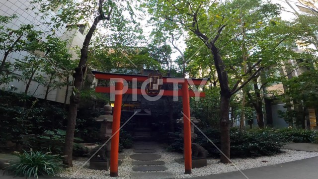 神社の参道と赤い鳥居