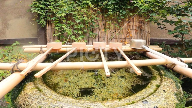 写真のタイトルが入ります