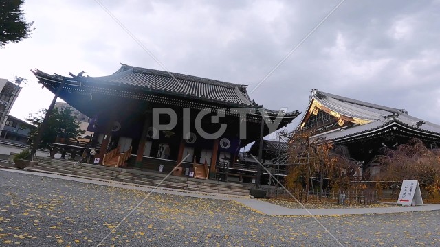 写真のタイトルが入ります