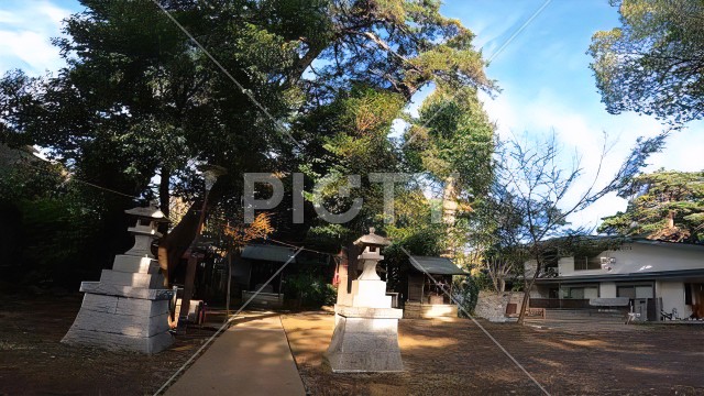 神社の参道　下高井戸八幡神社