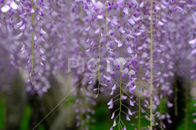 写真のタイトルが入ります