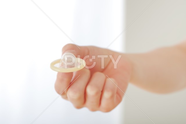 写真のタイトルが入ります