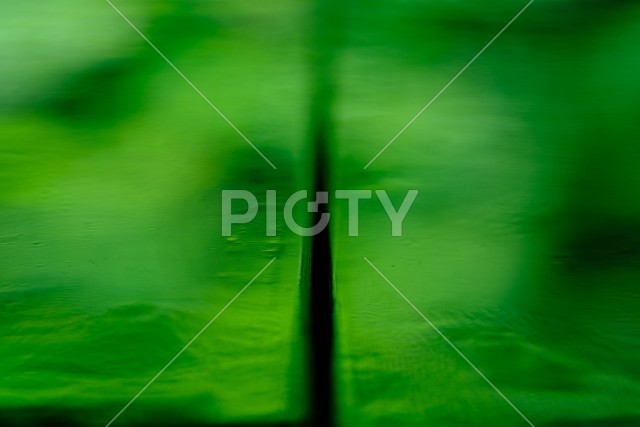 写真のタイトルが入ります