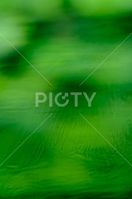 写真のタイトルが入ります