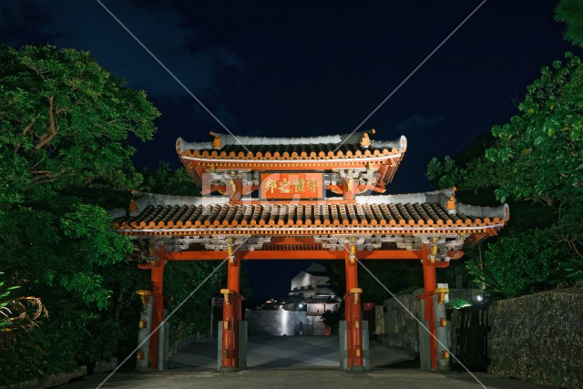 写真のタイトルが入ります