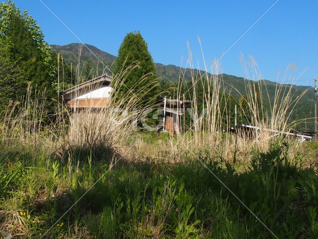 写真のタイトルが入ります