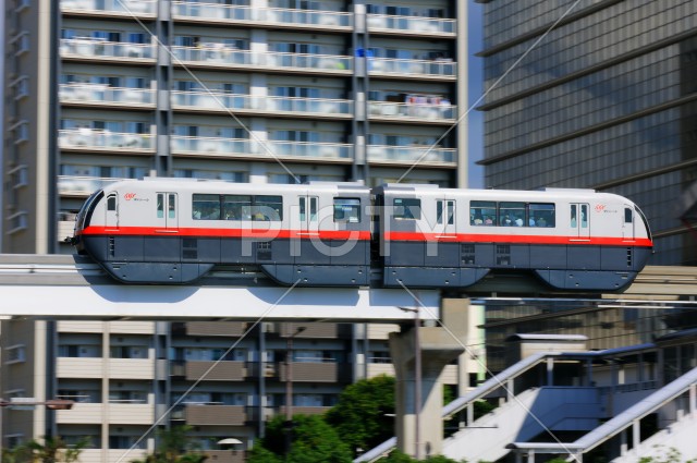 写真のタイトルが入ります