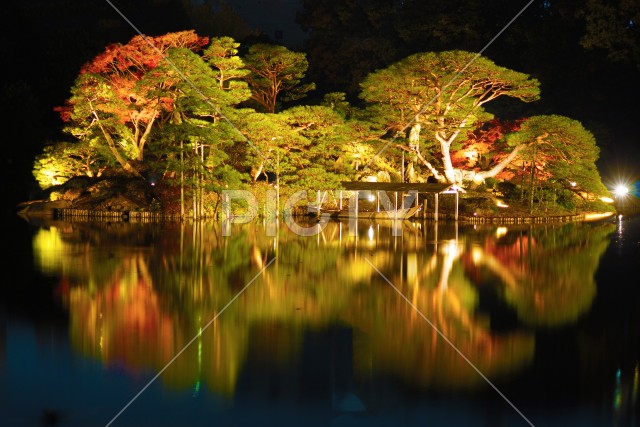 写真のタイトルが入ります