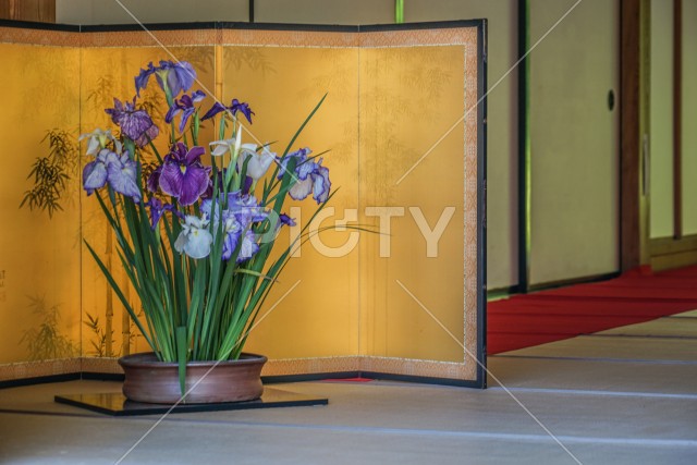 写真のタイトルが入ります