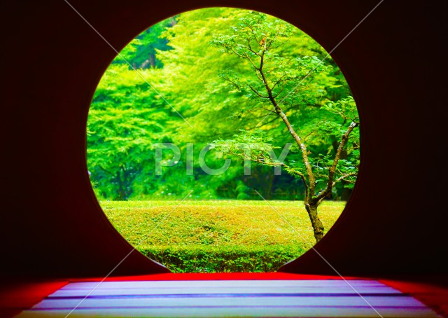 写真のタイトルが入ります