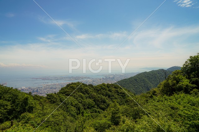 写真のタイトルが入ります