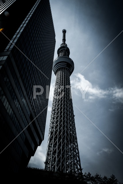 写真のタイトルが入ります