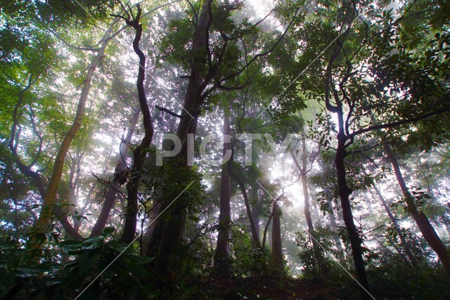 写真のタイトルが入ります