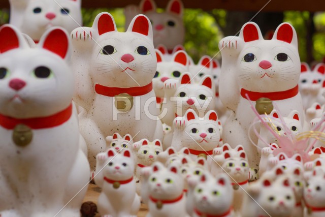 写真のタイトルが入ります