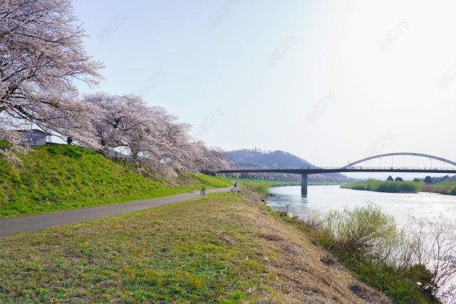 写真のタイトルが入ります