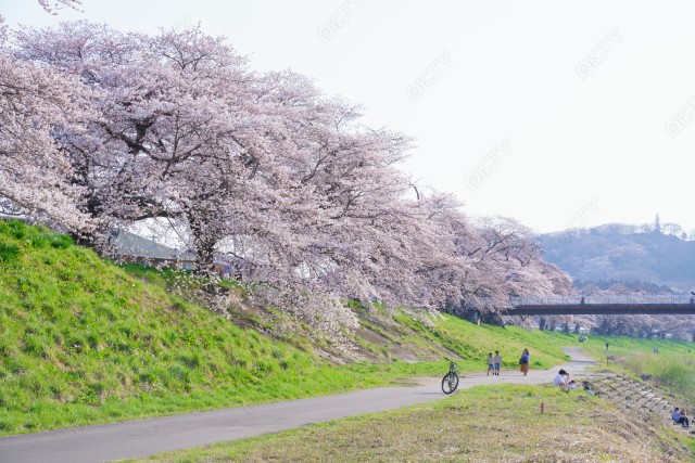 写真のタイトルが入ります