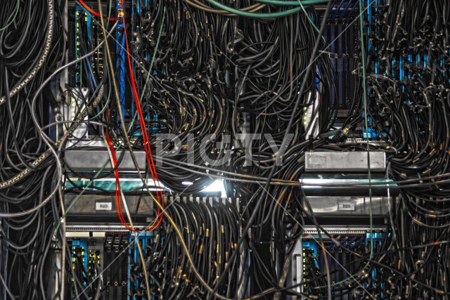写真のタイトルが入ります