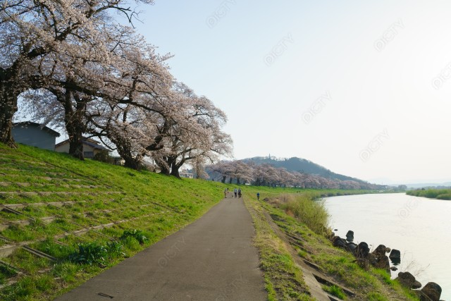 写真のタイトルが入ります