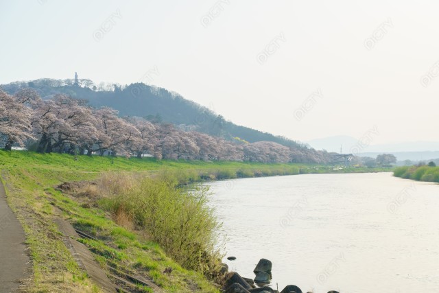 写真のタイトルが入ります