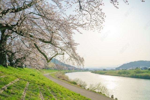 写真のタイトルが入ります