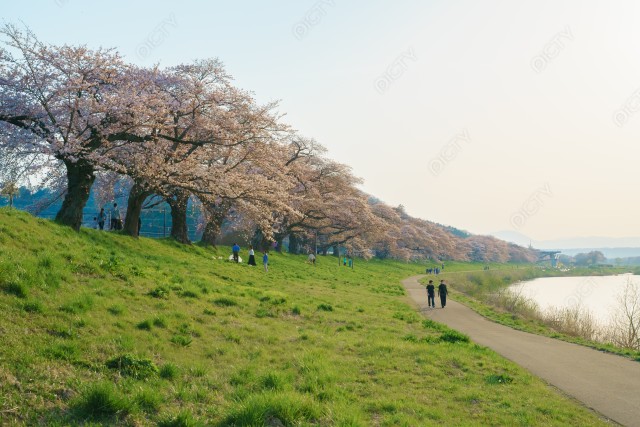 写真のタイトルが入ります