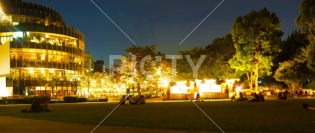 夜の檜町公園